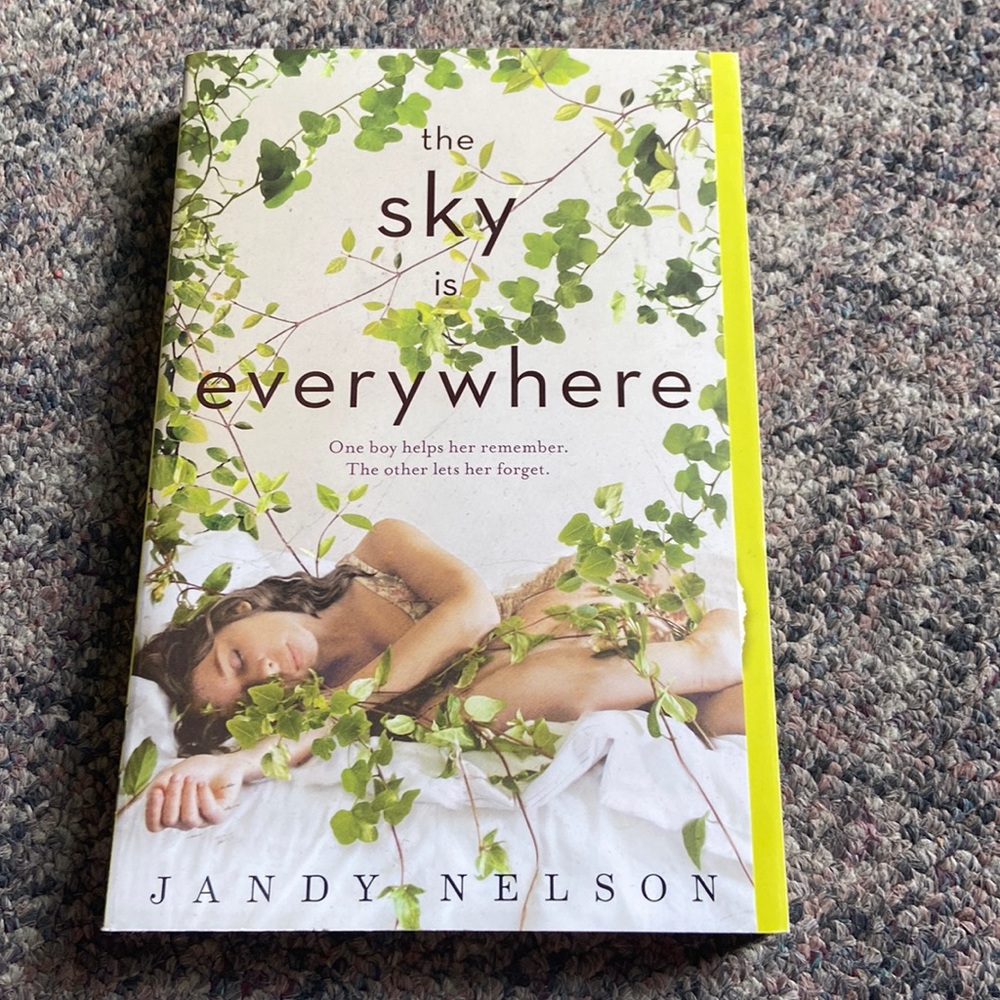 The Sky is Everywhere by Jandy Nelson (paperback)